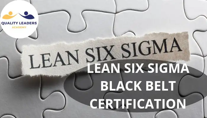 Black Belt certification 